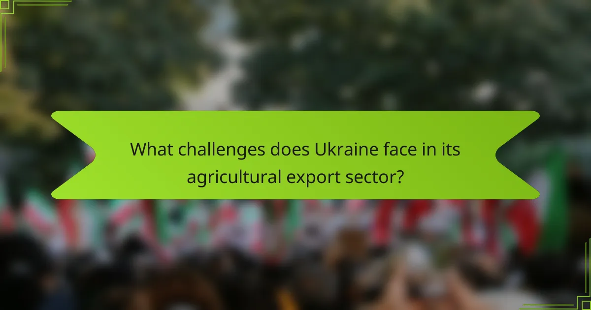What challenges does Ukraine face in its agricultural export sector?